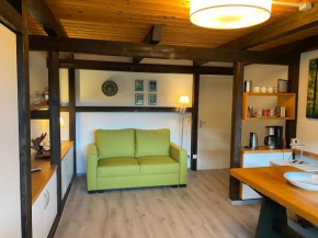 Schwarzwaldträumchen, Südbalkon, Hallenbad, TG